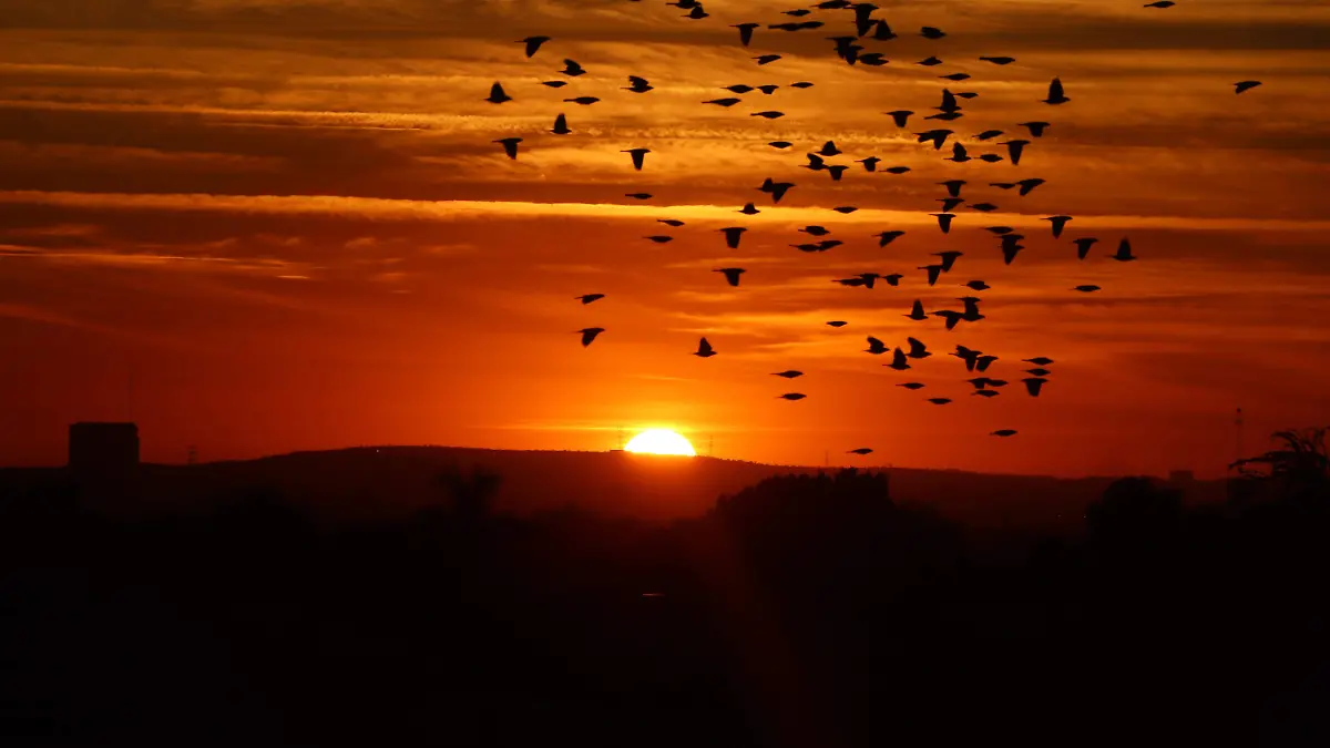 Atardecer - Mike Acosta (16)