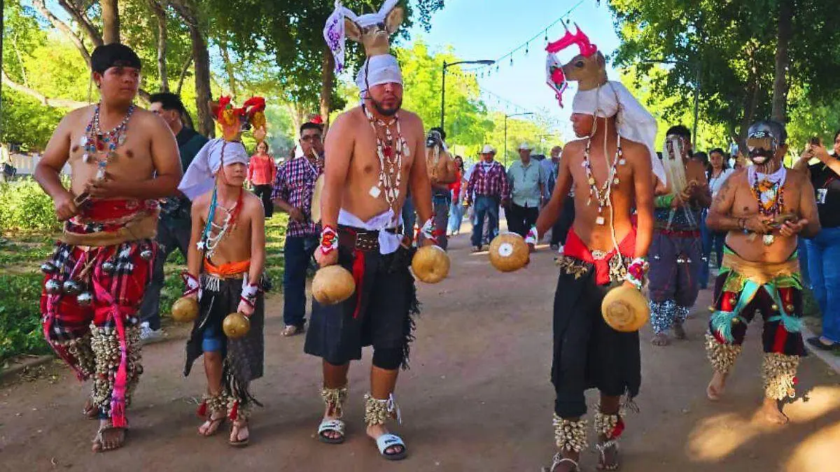 Danzantes venado