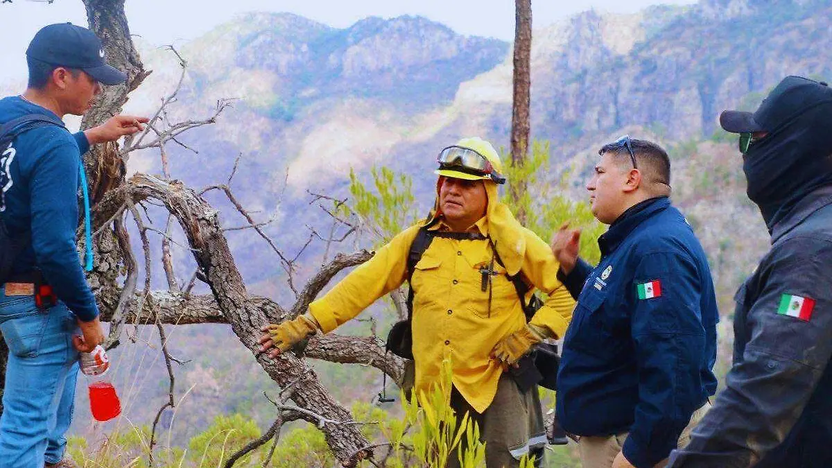 Incendio Álamos