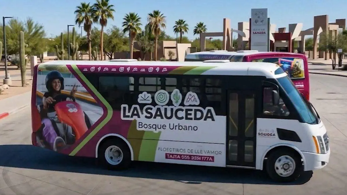 camión sauceda (1)
