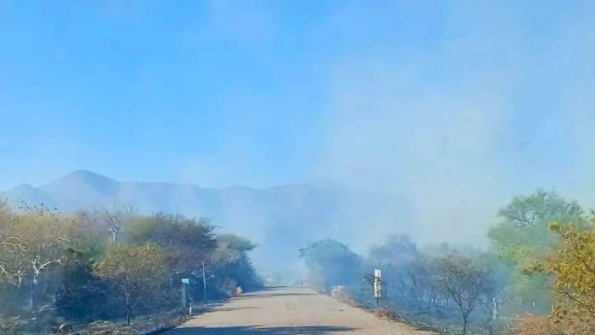 Incendio San Pedro de la Cueva