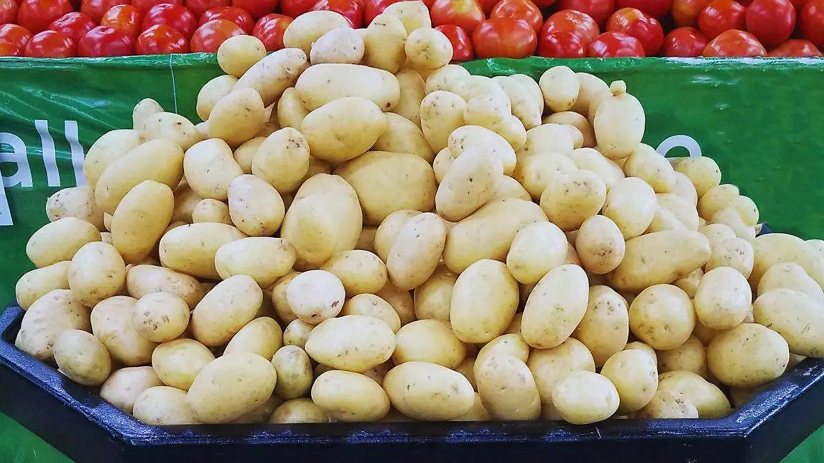papa blanca