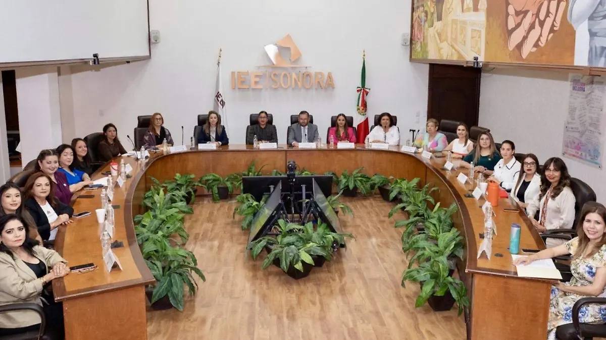 IEE SONORA1
