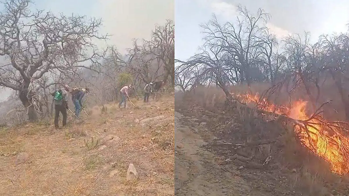 Incendio El Tarachi1