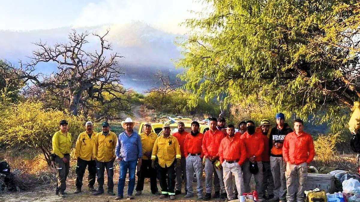 Incendio Arivechi