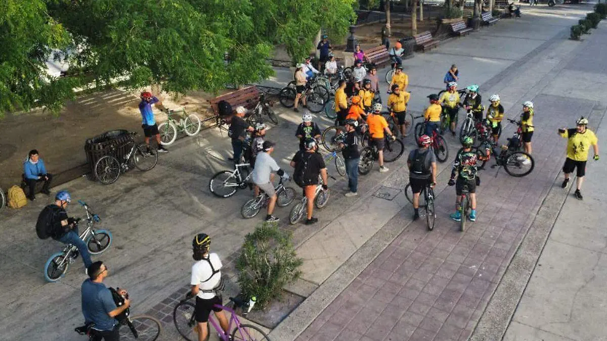 Diá de la bicicleta_