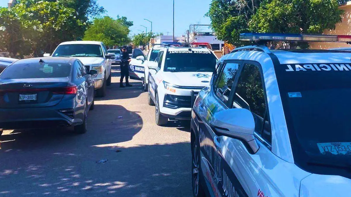Policía patrullas
