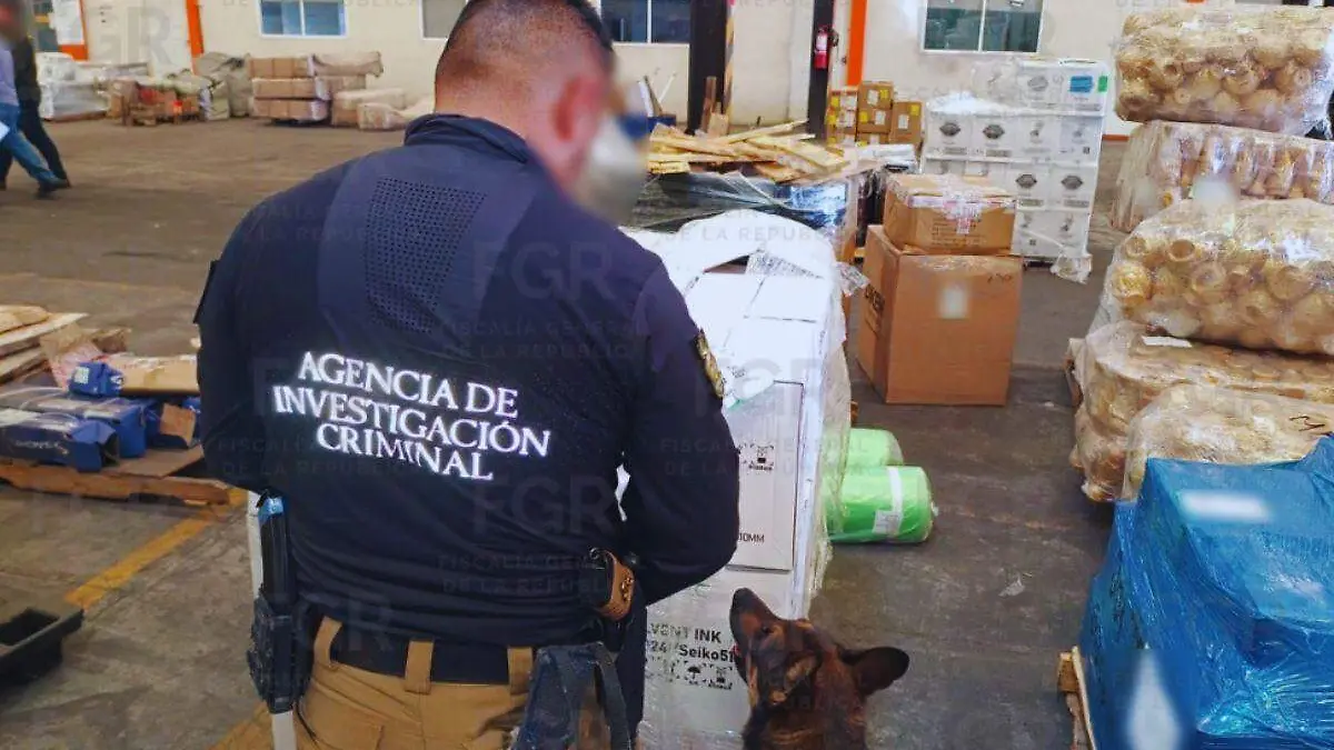 Metanfetamina paquetería_