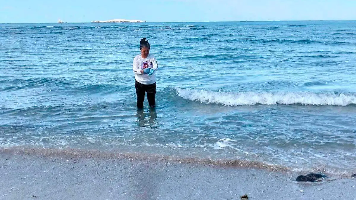 Madres buscadoras en playa Guaymas