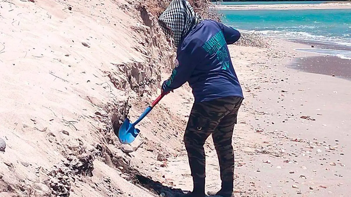 Búusqueda en playas de Sonora