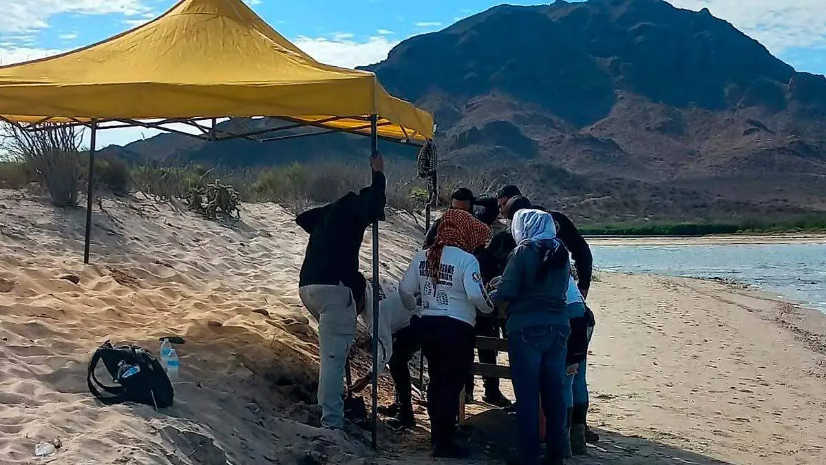 localización de restos en playa sonorense -Guerreras Buscadoras de Guaymas y Empalme