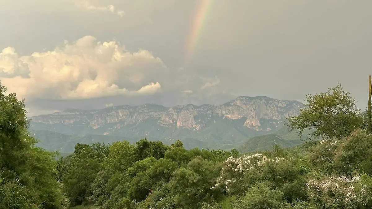 sierra Cortesía Los Camotes Álamos Sonora