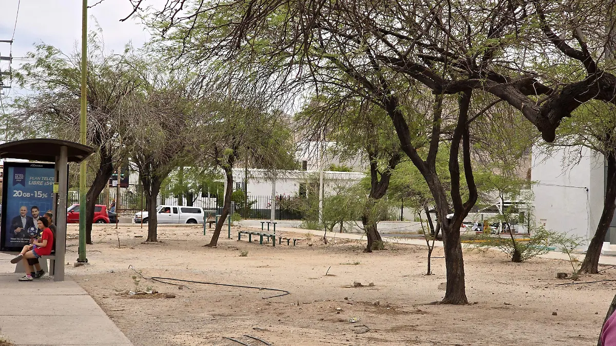 Denuncia ciudadana activa apropiacion camellon - Mike Acosta (9)