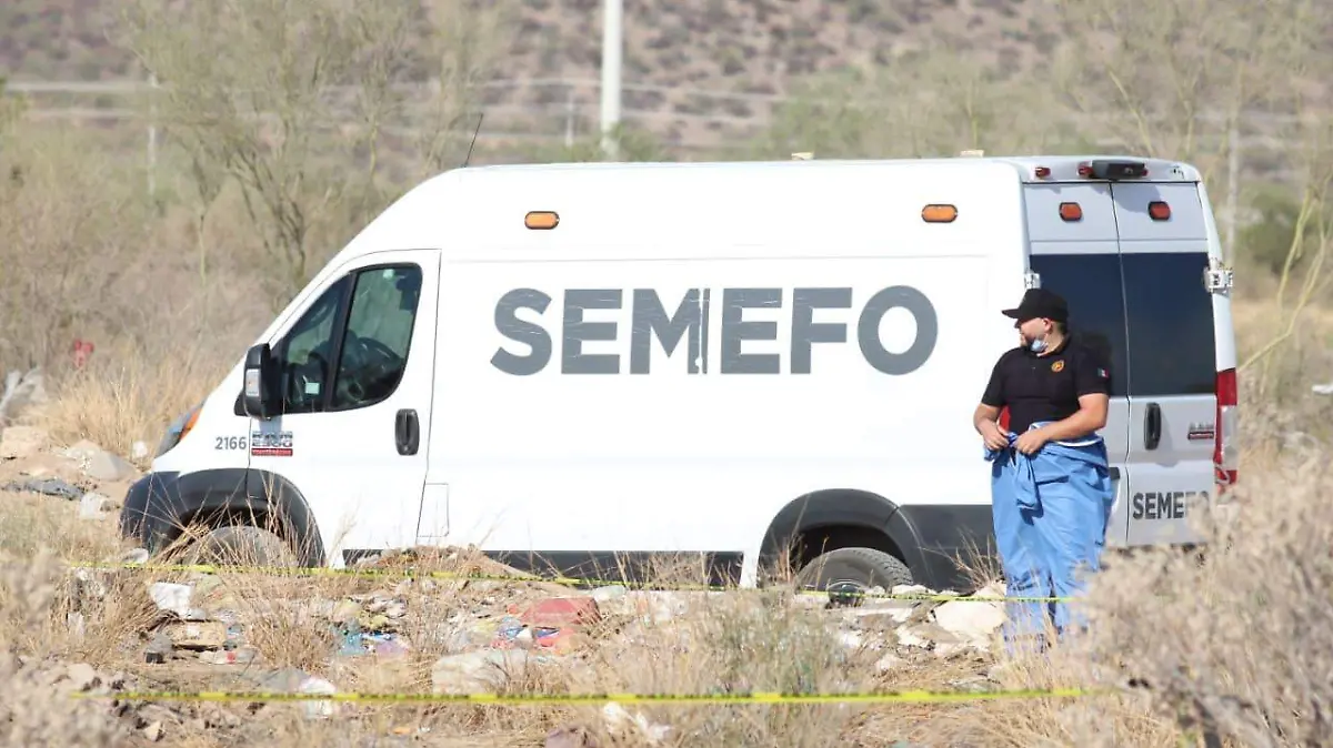 Semefo