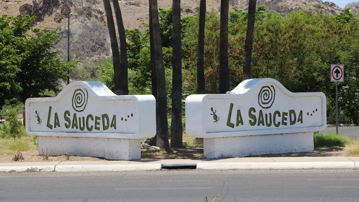 07-07-2026-La Sauceda Obras de Remodelación-Carlos Villalba3
