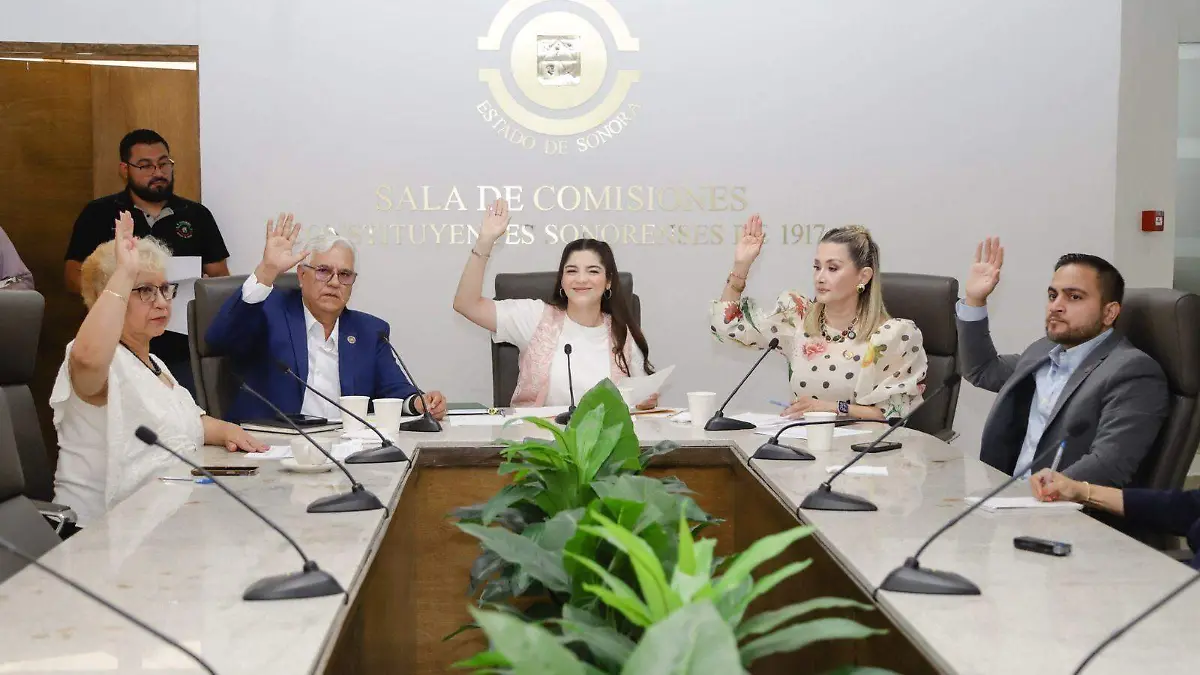Comisión de Salud