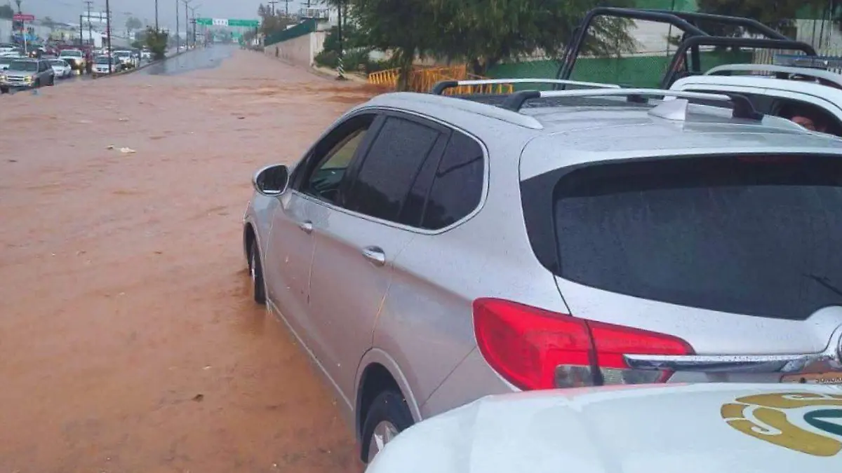 Lluvias Nogales