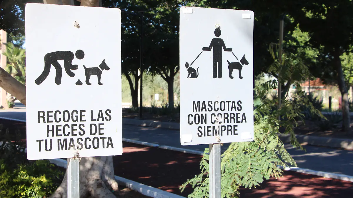 señalamientos cuidados perros mascotas la sauceda villalba