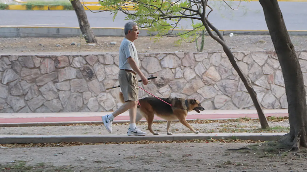 persona paseando a su perro parque pitic archivo