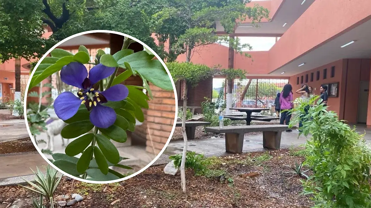 jardín polinizador unison