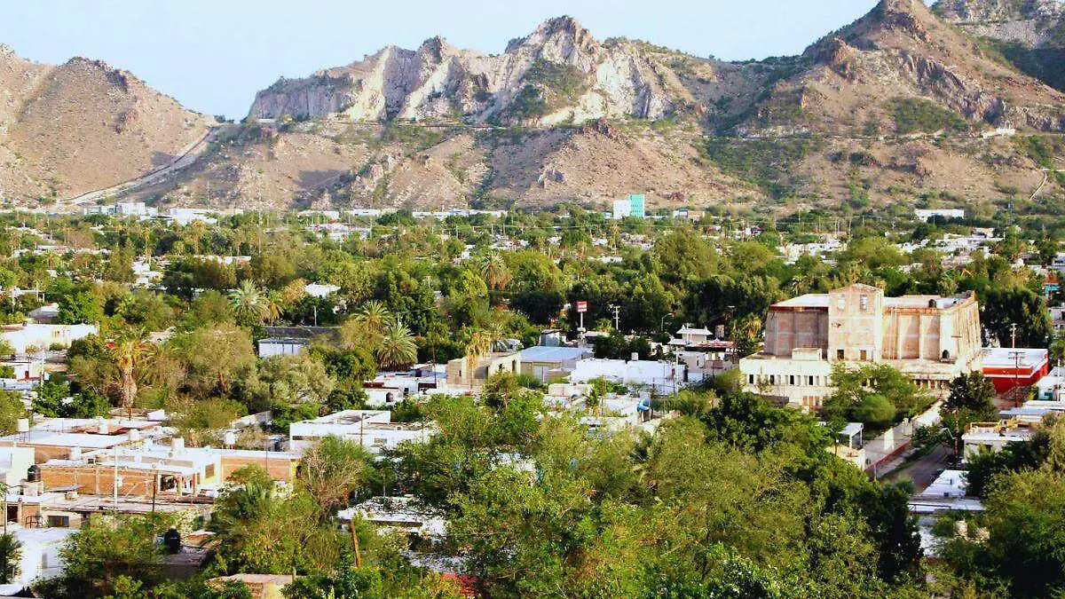 Hermosillo árboles