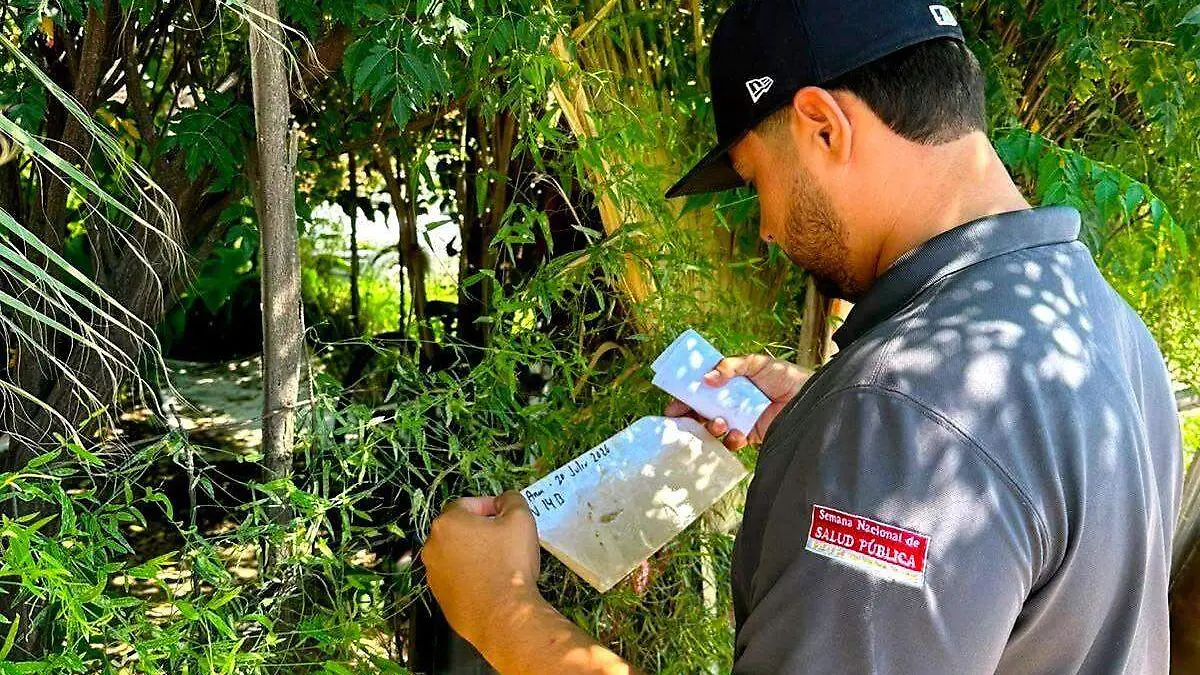 Acciones Dengue