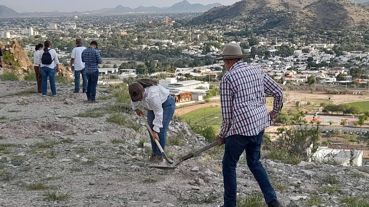 jornada de reforestación2