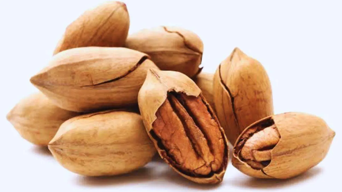 Nuez Pecaria