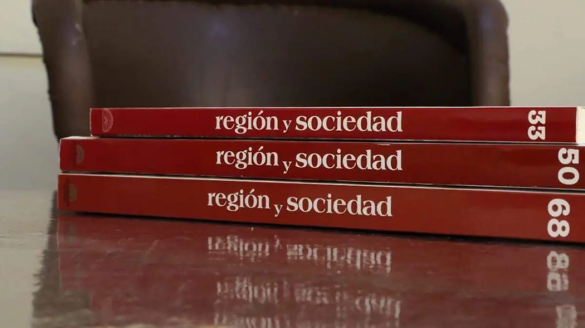 región y sociedad - colson
