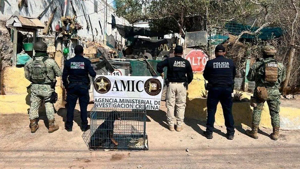 rescate perros (1)
