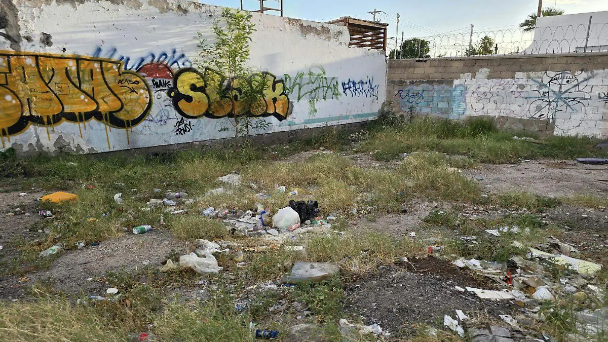 lotes baldíos - basureros
