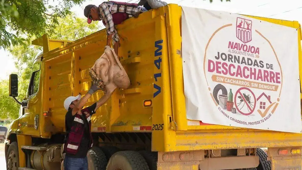 Descacharre contra el dengue