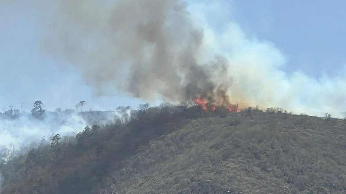 reporteincendios