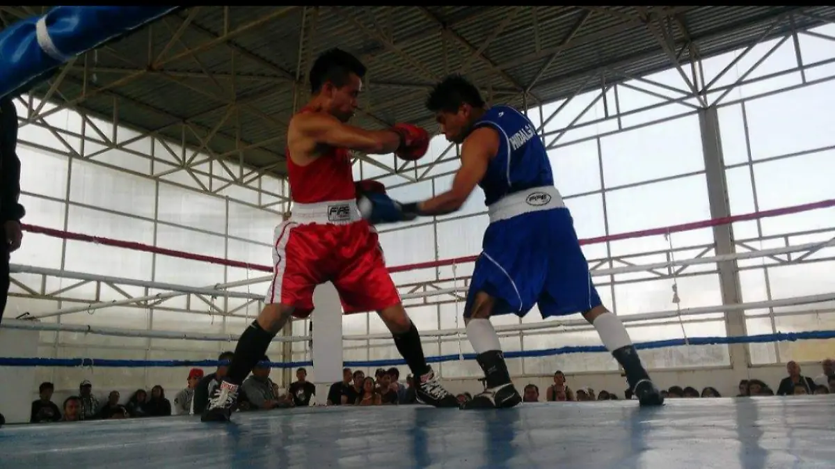 BOXEO