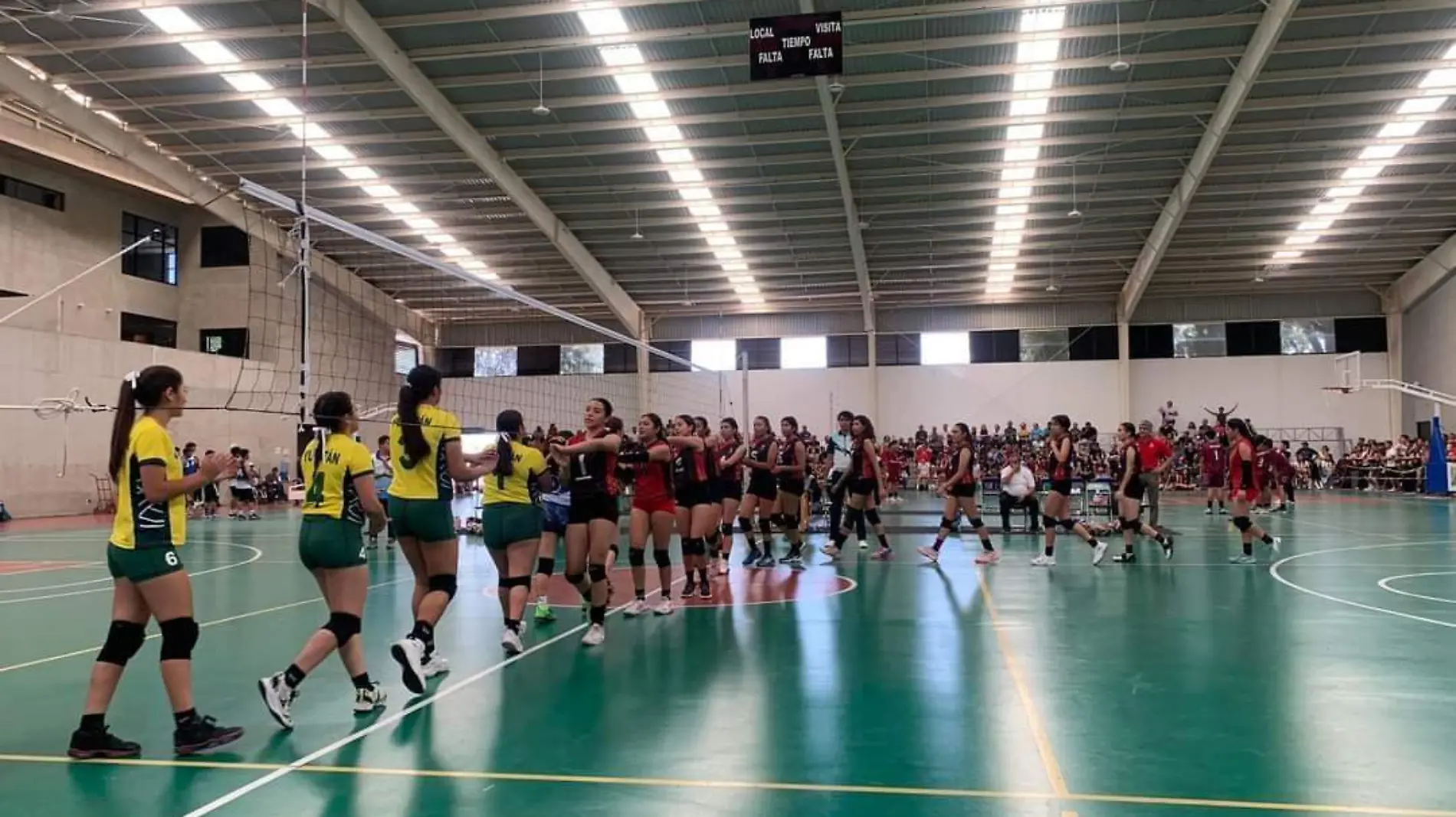 VOLEIBOL1