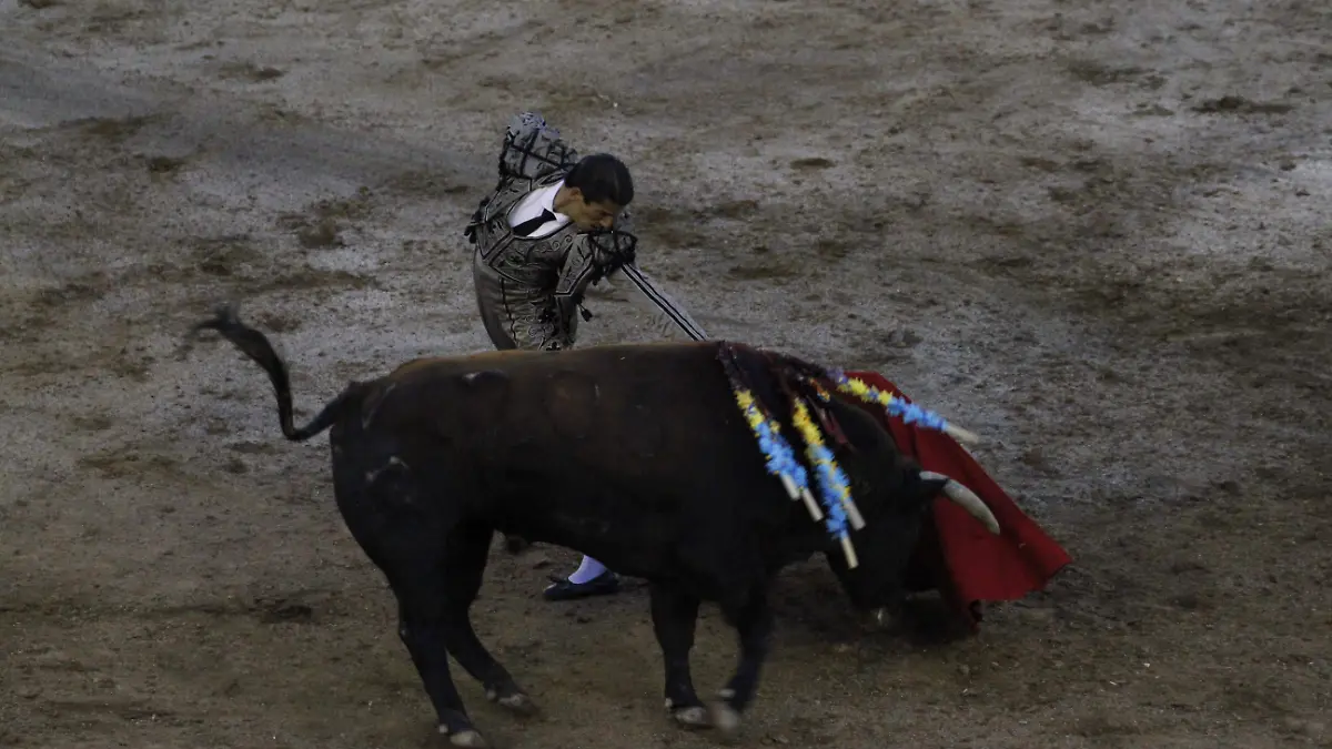 TOROS