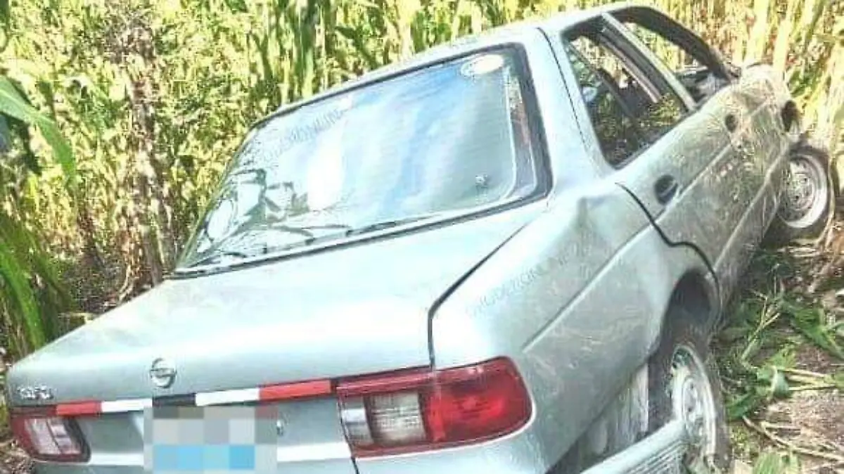 WhatsApp Image 2024-09-20 at 12.14.23 PM