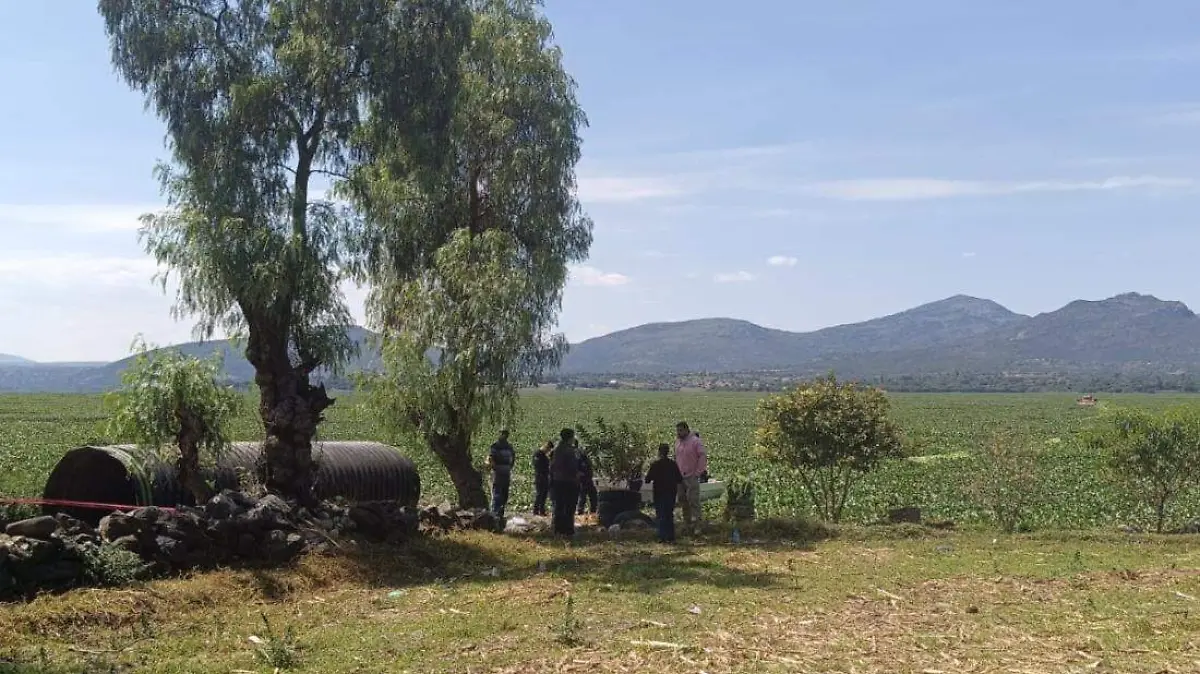 Presa Endhó