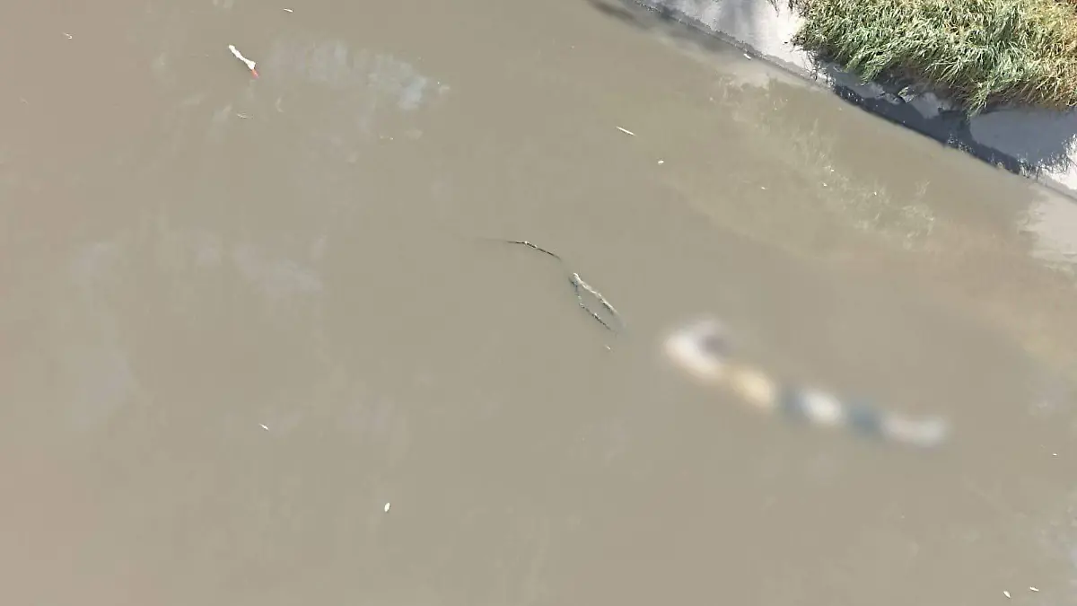 Canal
