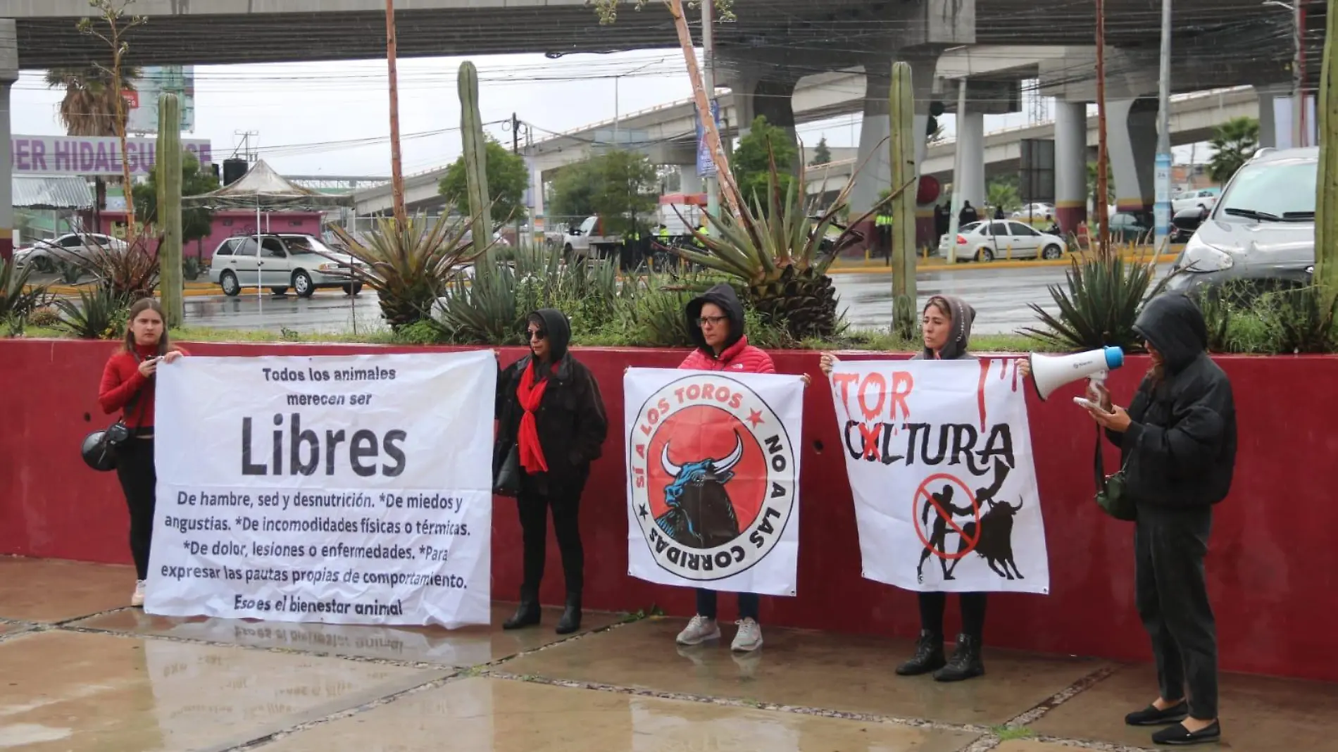 Protestatoros