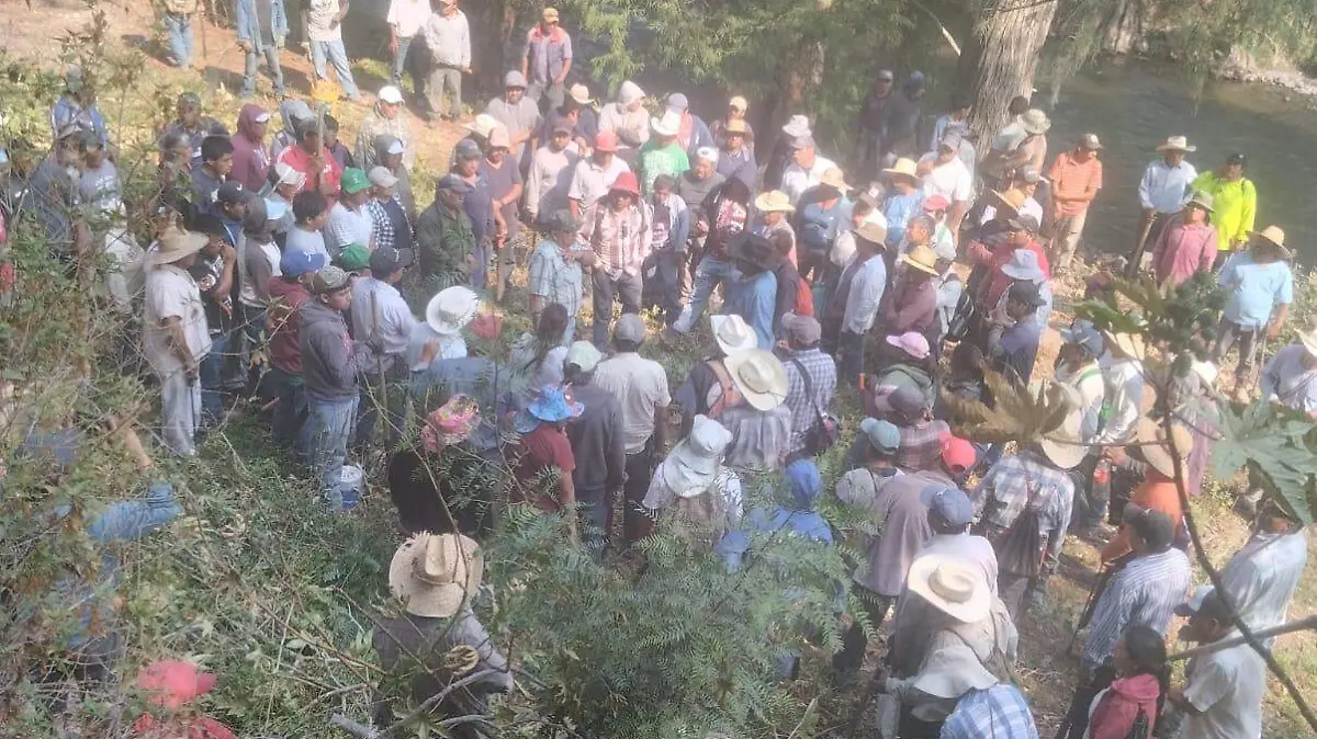 Faenados