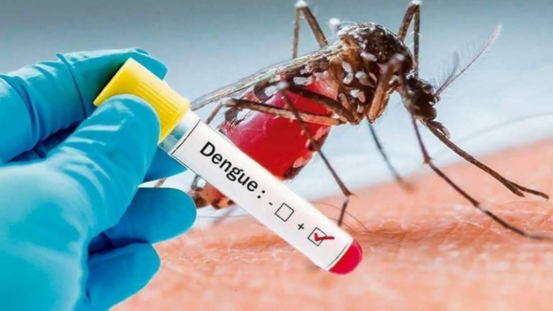 dengue