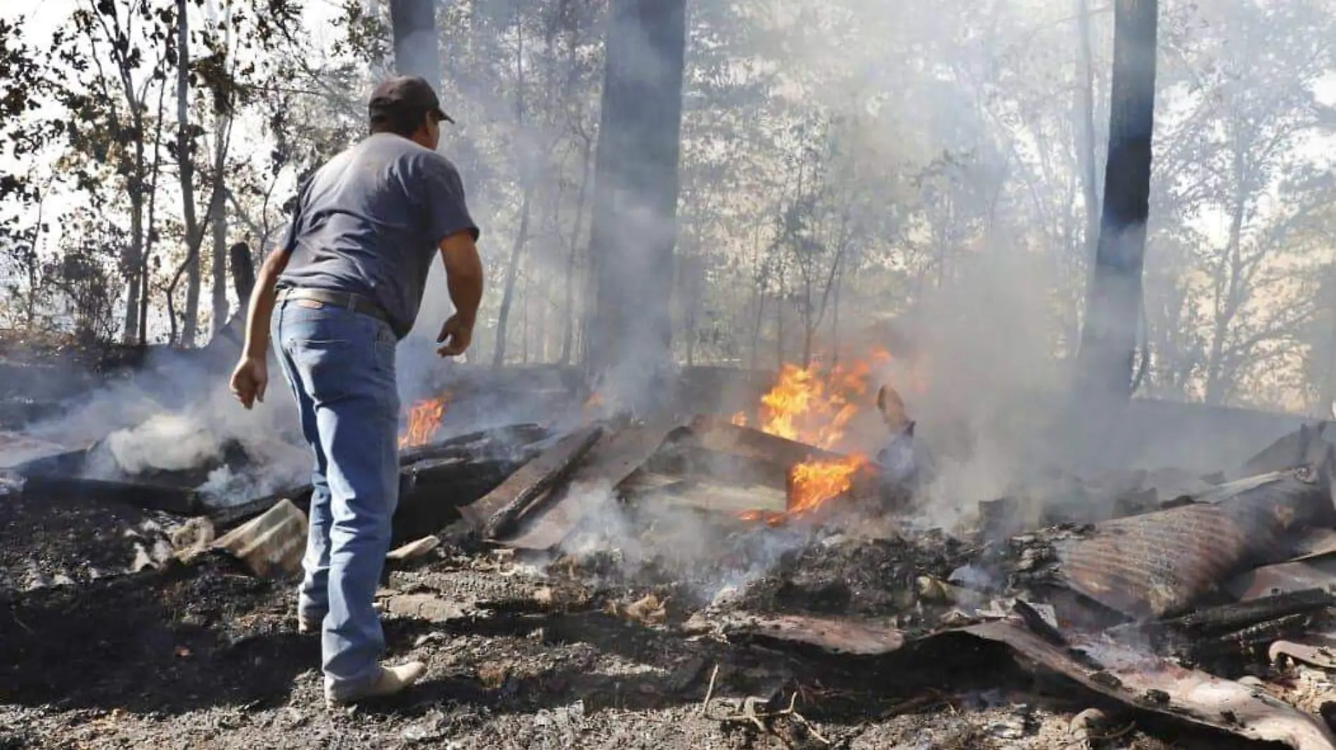 pqsurgenincendios