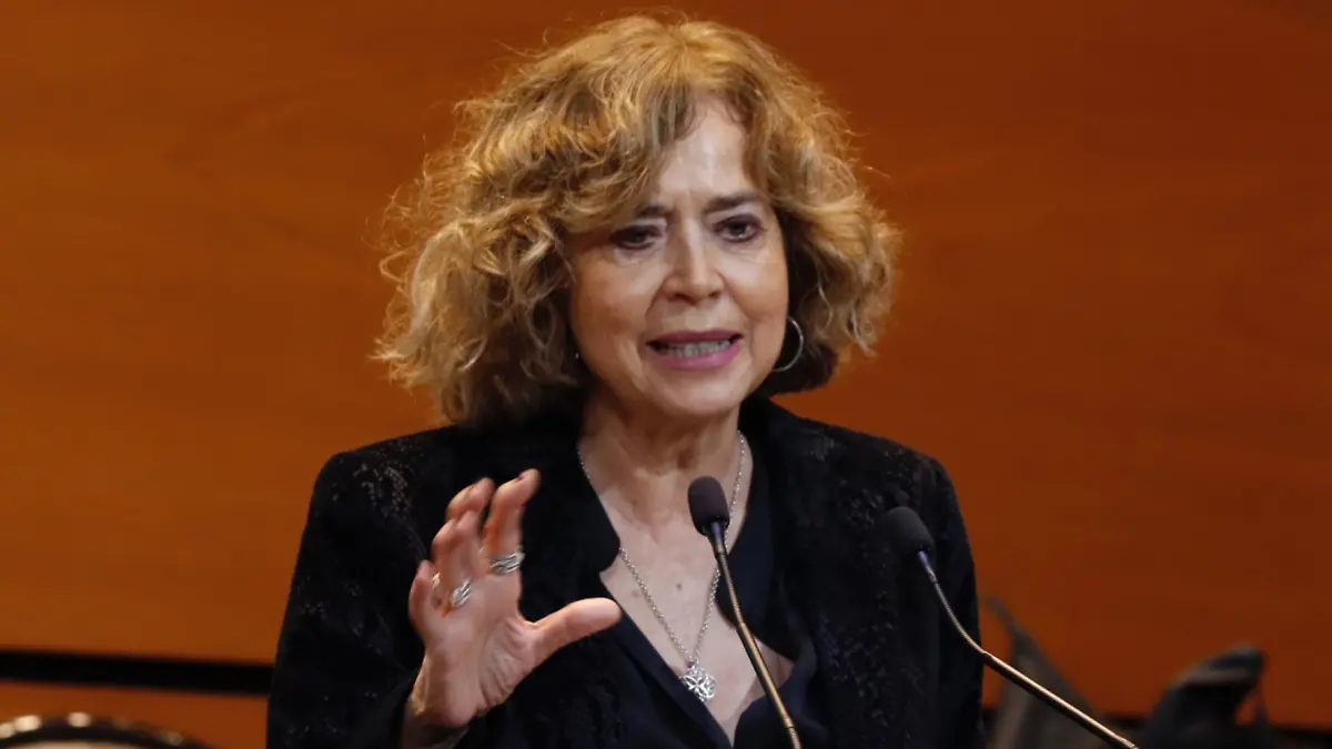 Rosaura Ruiz Gutiérrez