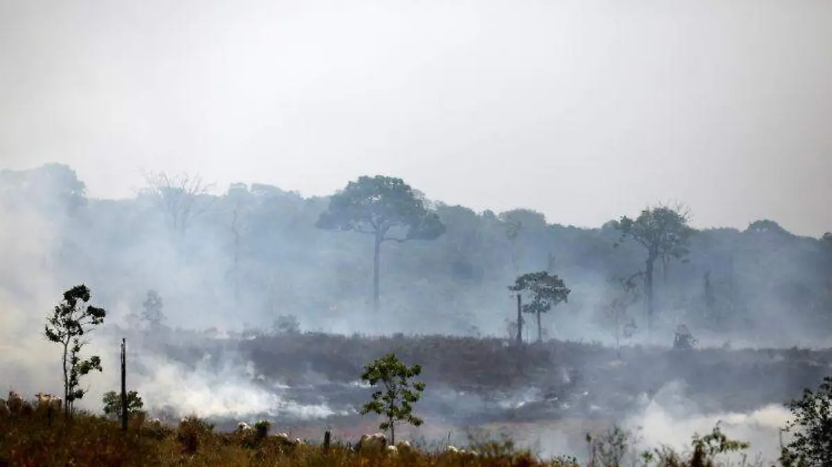 amazonas videocon REUTERS