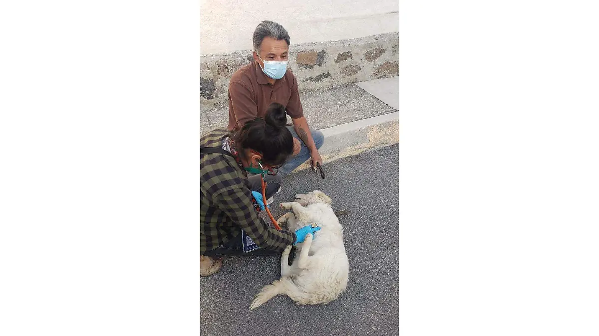 WhatsApp Image 2021-01-28 at 15