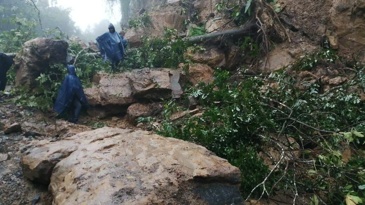 WhatsApp Image 2020-09-09 at 11.01.45