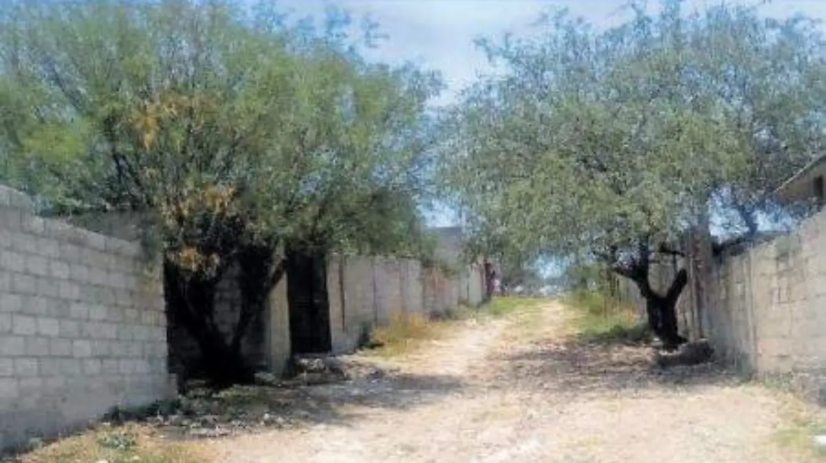 pama