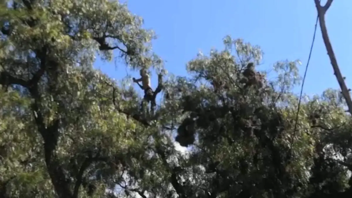 WhatsApp Image 2021-01-13 at 14.56.15