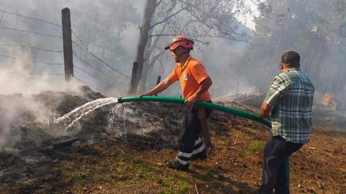 INCENDIOS BOSQUES TENANGO Y ACAXOCHI (3)